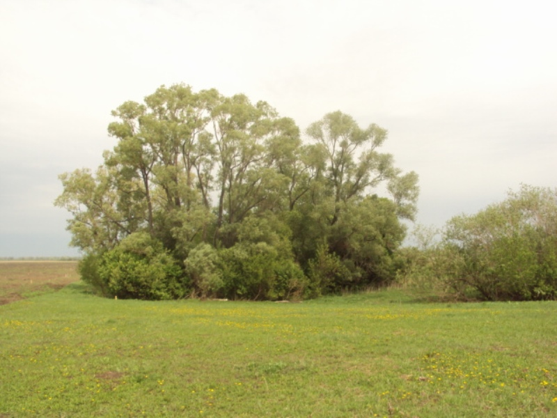 Земельные участки Ново-Архангельское. Иглино.