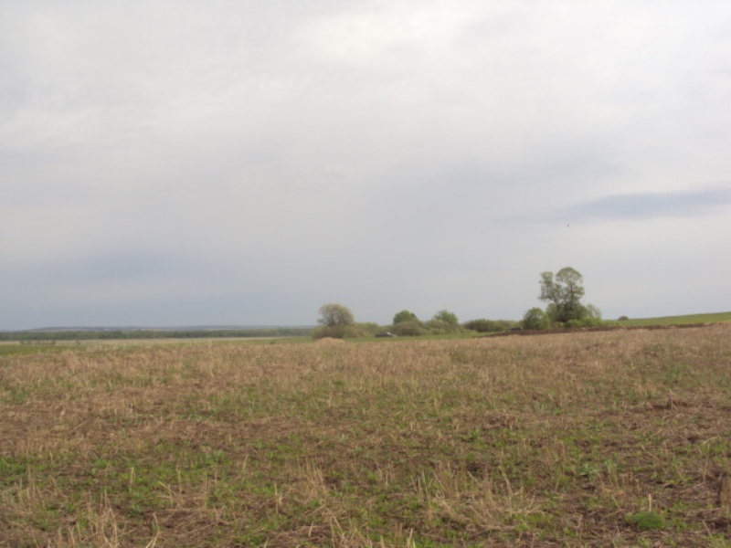 Земельные участки Ново-Архангельское. Иглино.