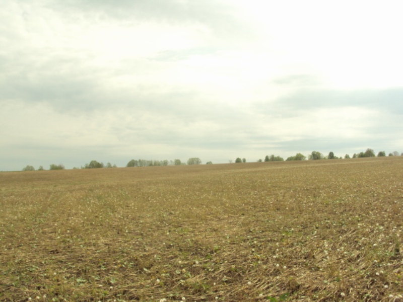 Земельные участки Ново-Архангельское. Иглино.