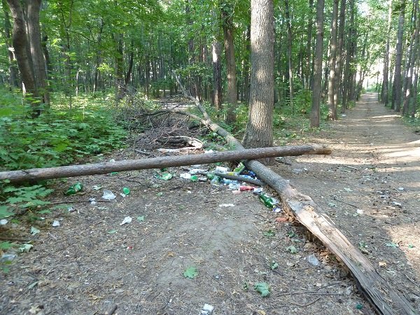 умирающий парк им. М.Гафури уфа лето 2012 года