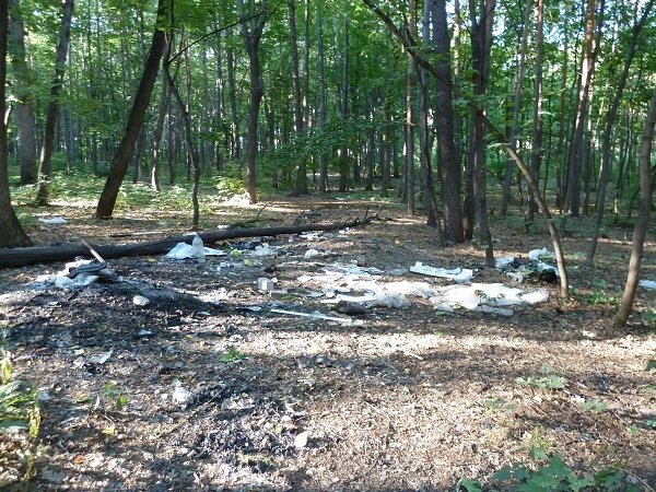 умирает парк им.Гафури в центре уфы июль 2012 года