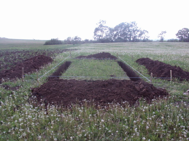 Фоторепортаж. Готовится разметка под фундаменты первых 8 таун-хаусов КП Ново-Архангельсокое