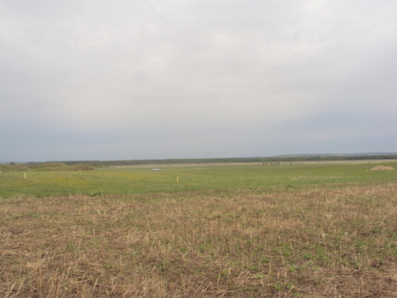 эксперт-иглино.рф