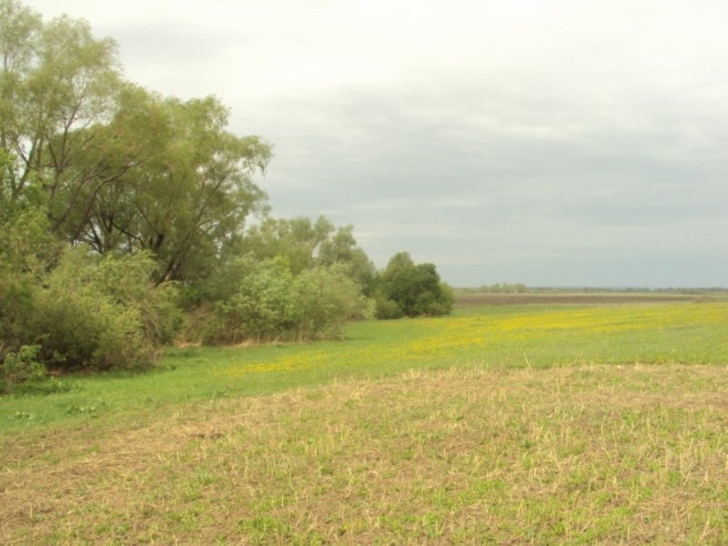 эксперт-иглино.рф