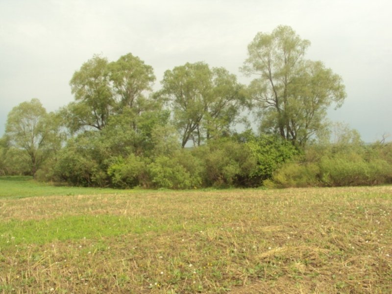 эксперт-иглино.рф