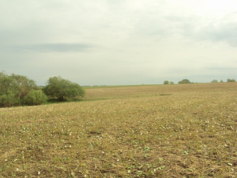 эксперт-иглино.рф