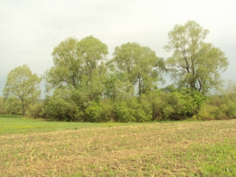 эксперт-иглино.рф